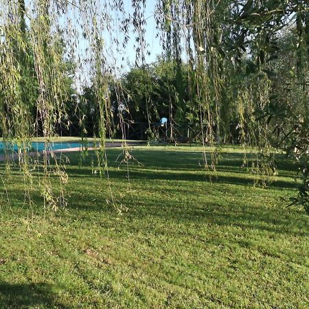 Residenza Il Platano Fortilizio Di Campiglia Rapolano Terme Ngoại thất bức ảnh